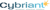 Cybriant