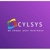 Cylsys Software Solution Pvt. Ltd.