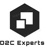 D2C Experts
