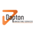 Dapton Consultancy Services