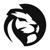 DarkLion Studio