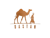 Dastan Traders
