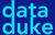 Data Duke Project Consulting