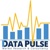 Data Pulse Market Research & Consultancy