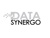 Data Synergo Sdn Bhd