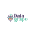 Datagrape.ai