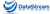 DataStream Networks Inc.