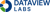 DataView Labs