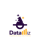 DataWiz