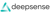 Deepsense Digital Solutions