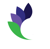 Delphinium Marketing