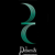Delsen & Company LLP