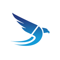 Design Hawk