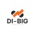 DI BIG LLC