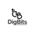 DigBits Incorporated