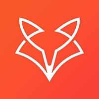 DigiFox Technologies
