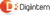 Digiintern - Best Web Designing & Seo Company