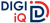DIGIIQ IT SOLUTION PRIVATE LIMITED