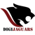 Digijaguars Pvt Ltd