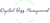 Digital Bizz Management
