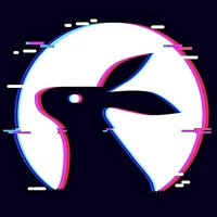 Digital Bunny