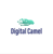 Digital Camel