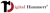 Digital Hammer