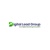 Digital Lead Group