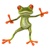 Digital Marketing Agency - GreenFrog Media & Marketing Group, LLC.