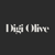 Digital Olive LLC