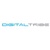 Digital Tribe Limited
