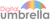 Digital Umbrella