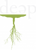 Disruptive Equity Education Project