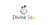 Divine SEO Services