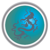 Dragon Financial Group