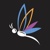Dragonfly Branding