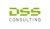 DSS Consulting