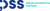 DSS - Digital and Software Solutions
