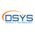 Dsys Inc