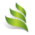 Dynamic Management Solutions