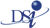 Dynamic Solution Innovators (DSi)