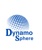 Dynamo Sphere Digital Solutions