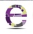 E. Holdings, Inc.