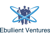 Ebullient Ventures Pvt. Ltd.