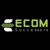 Ecom Successors | Ecommerce Development & Marketing Agency