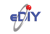 eDIY Software