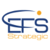 EFS Strategic