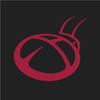 El Bug Farm