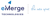 eMerge Technologies (NetSuite Services)