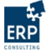 Erp Consulting